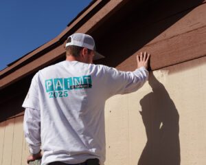 Touch Up Painting