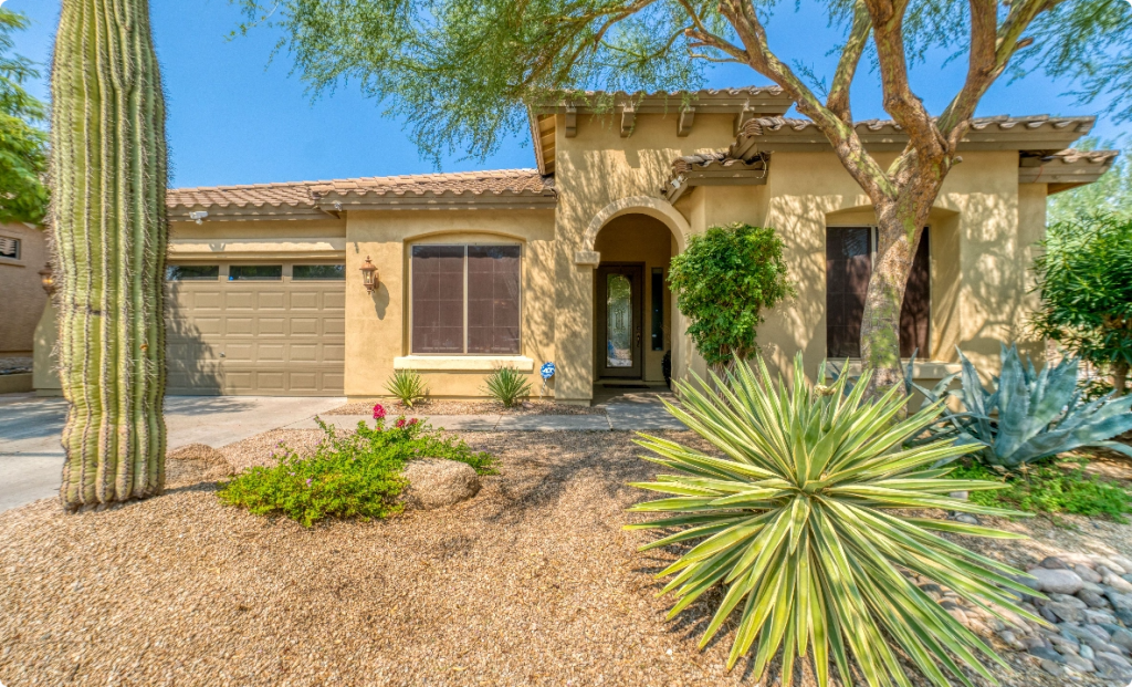 Mesmerizing Arizona Paint Company Design in HD Mesmerizing Arizona Paint Company Design in HD